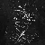Image 1247589