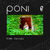Poni - Jap E Jap