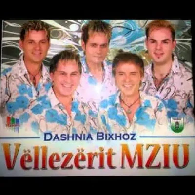 Dashnia Bixhoz (2008) - Vellezerit Mziu