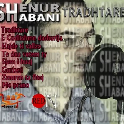 Tradhtare - Shenur Shabani