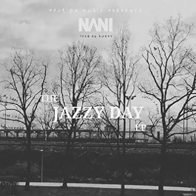 The Jazzy (2020) - Nani 039