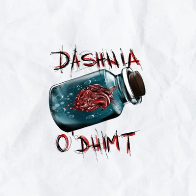 Dashnia o' Dhimt (2023) - Kinnezi