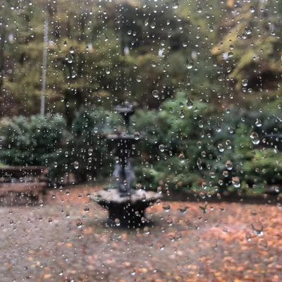 Artist's Collection (2024) - Trimor Dhomi