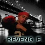 Reveng-E