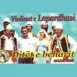 Violinat E Lapardhasë