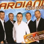 Ardian Limanmera - Live 100% (2012)