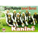 Grupi Ismail Qemali - Hyn E Del Nje Kokone