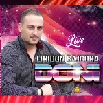 Liridon Bajgora - Kush Po Vjen Me Temena