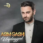 Unplugged (2016) - Asim Gashi