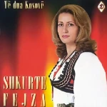 Shkurte Fejza - Mora Fjalë Video