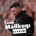 Endri Mallkuqi - Gjykimi