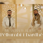 Mevlan Kurtishi & Adem Ramadani - Pëllumbi I Bardhë Video