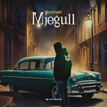 Biondi - Mjegull
