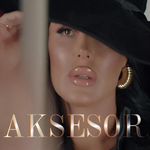 Arta Bajrami - Aksesor
