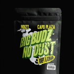 Noizy & Capo Plaza - Big Budz