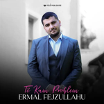 Ermal Fejzullahu - Të Kam Problem
