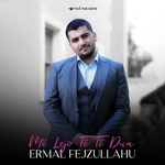 Ermal Fejzullahu - Më Lejo Të Të Dua