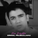 Ermal Fejzullahu - Me Mjeshtri