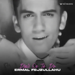 Ermal Fejzullahu - Djali Që Të Do