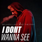 Bojken Lako - Don't Wanna See