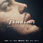 Bajrush Berisha - Pendimi