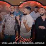 Mandi, Landi, Zani, Geri, Adi Sybardhi & Ilir Tironsi - Bisous
