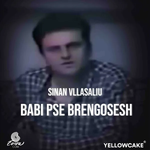 Sinan & Dona Vllasaliu - Babi Pse Brengosesh