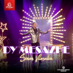 Sinan Vllasaliu - Dy Mesazhe