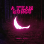 Naldi & Aleks - A T'kam Mungu Video
