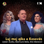Zyber Avdiu, Mamure Bela & Ilire Marevci Fazliu - Luj Moj Qika E Kosovës