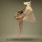 Sami Kallmi - Kur Kercen Sorkadhja