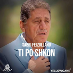Sabri Fejzullahu - Ti Po Shkon