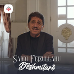 Sabri Fejzullahu - Dëshmitarë