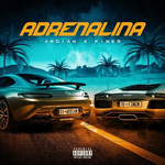 Ardian Bujupi & Finem - Adrenalina