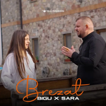 Bigu - Brezat