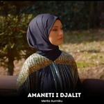 Merita Burrniku - Amaneti I Djalit