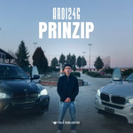 Ardi246 - Prinzip
