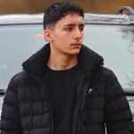 Ardi246