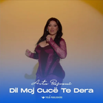 Arta Bajrami - Dil Moj Cucë Te Dera