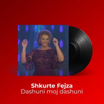 Shkurte Fejza - Dashuni Moj Dashuni