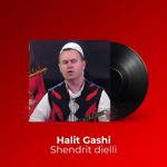 Halit Gashi - Shëndrit Dielli
