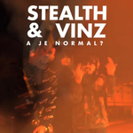 Stealth & Vinz - A Je Normal Video