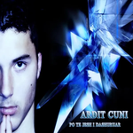 Ardit Çuni - Po Të Jesh I Dashuruar