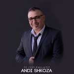 Andi Shkoza - Te Cepi I Pallatit