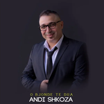 Andi Shkoza - O Bjonde Te Dua
