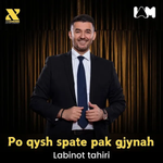Labinot Tahiri - Po Qysh S'pate Pak Gjynah