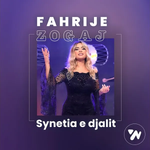 Fahrije Zogaj - Synetia E Djalit
