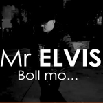 Mr Elvis - Boll Mo
