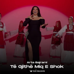 Arta Bajrami - Të Gjith Miq E Shokë