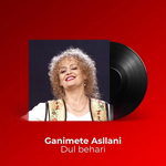 Ganimete Asllani - Dul Behari